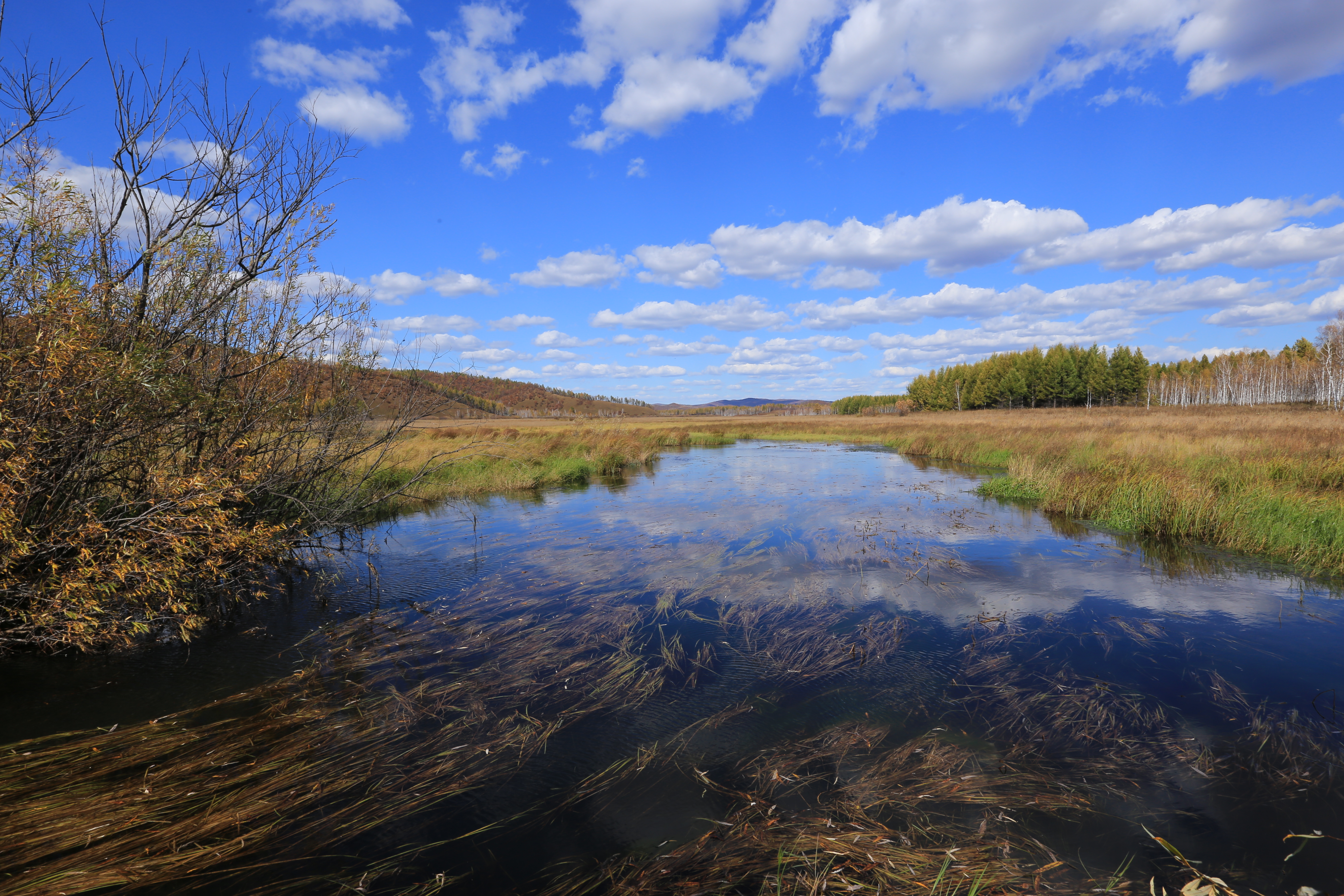 Rivers in Bila River Ramsar Site